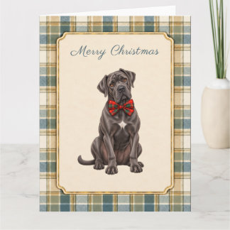 Frohe Weihnachten Cane Corso Karte