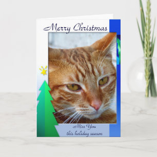Frohe Weihnachten, cat_Card Feiertagskarte