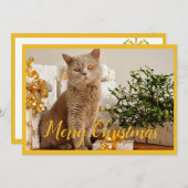Frohe Weihnachten Cat Foto Jahreszeit Grüße (Vorne/Hinten)