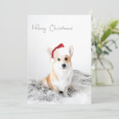 Frohe Weihnachten Corgi (Stehend Vorderseite)