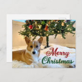 Frohe Weihnachten Corgi Schöne Dog Fotografie Postkarte (Vorne/Hinten)