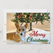 Frohe Weihnachten Corgi Schöner Hund unter Bäumen (Vorderseite)