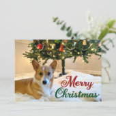 Frohe Weihnachten Corgi Schöner Hund unter Bäumen (Stehend Vorderseite)