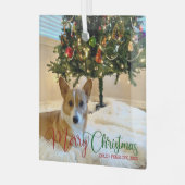 Frohe Weihnachten Custom Pet Foto Schöner Hund Ornament Aus Glas (Vorderseite links)