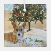 Frohe Weihnachten Custom Pet Foto Schöner Hund Ornament Aus Glas (Vorderseite)