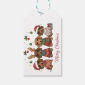 Frohe Weihnachten Dachshunde Geschenkanhänger (Vorderseite)