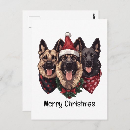 Frohe Weihnachten Deutsche Schäferhunde Postkarte (Vorne/Hinten)