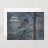 Frohe Weihnachten - Eastern Blue Jay (Vorne/Hinten)