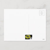 Frohe Weihnachten - Eastern Blue Jay (Rückseite)