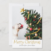 Frohe Weihnachten Einfacher Spaß Text Foto-Karte Einladung (Vorderseite)