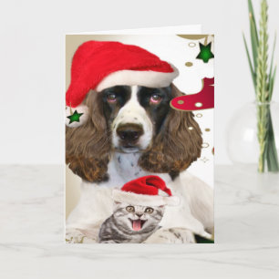 Frohe Weihnachten Englisch Springer Spanisch Cards
