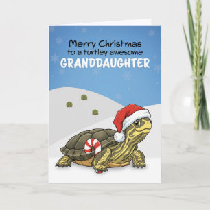 Frohe Weihnachten Enkelin Schildkröte in Santa Hut