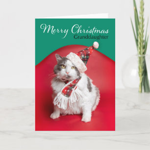 Frohe Weihnachten Enkelin Süße Katze mit Hut