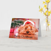 Frohe Weihnachten Erschöpft Yorkie Dog Fun Karte (Gelbe Blume)