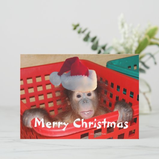 Frohe Weihnachten Erstellen Sie Ihre eigene Botsch Einladung (Stehend Vorderseite)