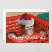 Frohe Weihnachten Erstellen Sie Ihre eigene Botsch Einladung (Vorne/Hinten)