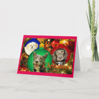 Frohe Weihnachten! Feiertagskarte