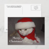 Frohe Weihnachten! Feiertagspostkarte (Vorne/Hinten)