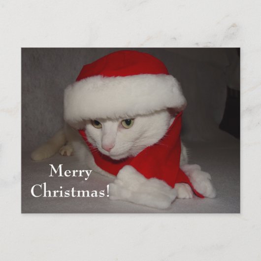 Frohe Weihnachten! Feiertagspostkarte (Vorderseite)