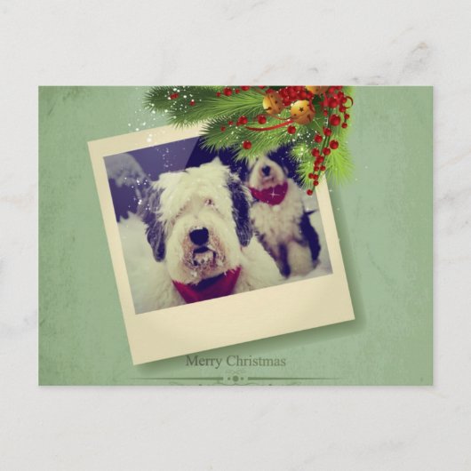 Frohe Weihnachten! Feiertagspostkarte (Vorderseite)