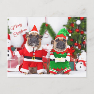 Frohe Weihnachten Französische Bulldoggen Weihnach