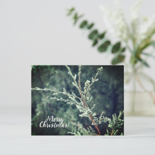 Frohe Weihnachten Frosty Evergreen (Stehend Vorderseite)