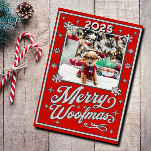 Frohe Weihnachten für alle Fellnasen - Weihnachtsf