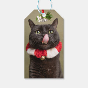 Frohe Weihnachten für alle Katzen unter Mistletoe Geschenkanhänger