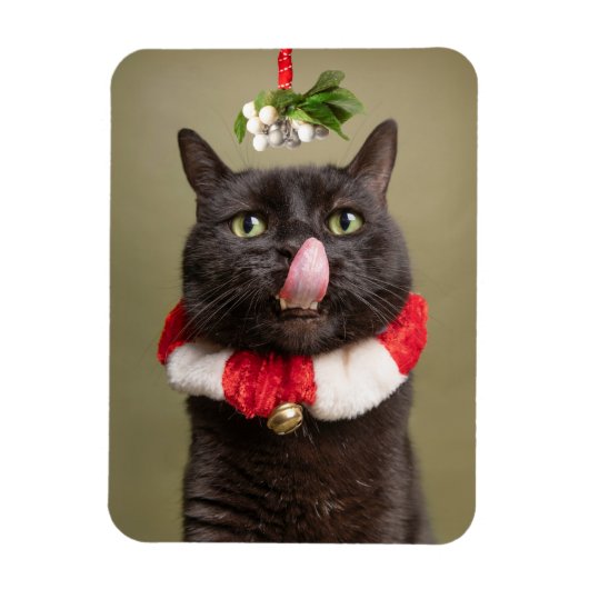 Frohe Weihnachten für alle Katzen unter Mistletoe Magnet (Vertikal)