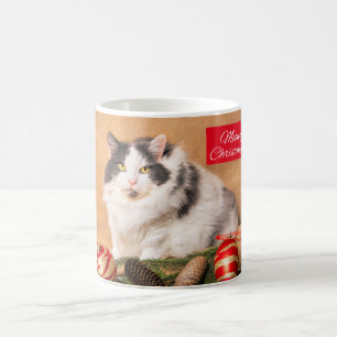 Frohe Weihnachten für alle Niedlichen Katzen Kaffeetasse