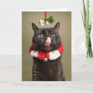 Frohe Weihnachten für jede Katze unter dem Mistelz