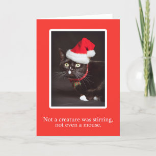 Frohe Weihnachten für jeden Cat in Weihnachtsmannm