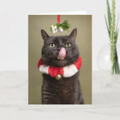 Frohe Weihnachten für jeden Cat unter Mistletoe mi (Vorderseite)