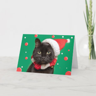Frohe Weihnachten für jeden Lustige Katze in Santa