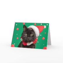 Frohe Weihnachten für jeden Lustige Katze in Santa