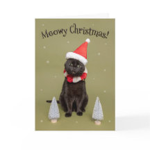 Frohe Weihnachten für jeden Lustige Katze in Santa