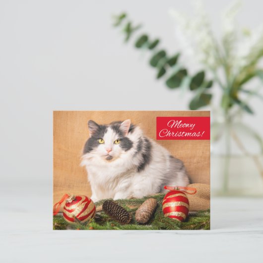 Frohe Weihnachten für jeden Niedlichen Cat Spaß (Stehend Vorderseite)