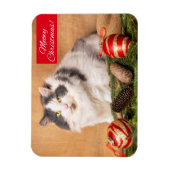Frohe Weihnachten für jeden Niedlichen Cat Spaß Magnet (Vertikal)
