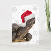 Frohe Weihnachten für jeden Turtle in der Weihnach (Vorderseite)