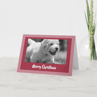 Frohe Weihnachten Glücklicher Golden Retriever Wel Dankeskarte