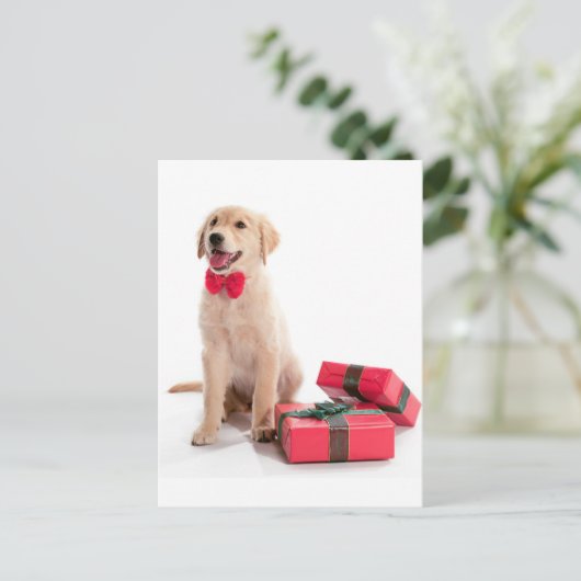 Frohe Weihnachten Golden Retriever Welpe (Stehend Vorderseite)