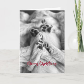 Frohe Weihnachten Golden Retriever Welpen Pfoten K Dankeskarte