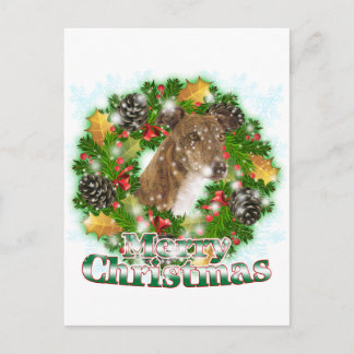 Frohe Weihnachten Greyhound