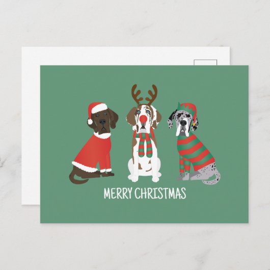 Frohe Weihnachten Große Dane Hunde Postkarte (Vorne/Hinten)