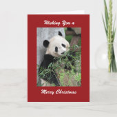 Frohe Weihnachten Gruß Giant Panda Red Border (Vorderseite)