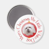 Frohe Weihnachten Havanese Magnet (Vorderseite/Rückseite)
