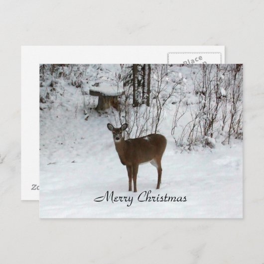 Frohe Weihnachten Hirsch (Vorne/Hinten)