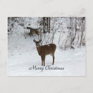 Frohe Weihnachten Hirsch
