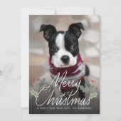 Frohe Weihnachten Holly Hand Lettering Foto (Vorderseite)