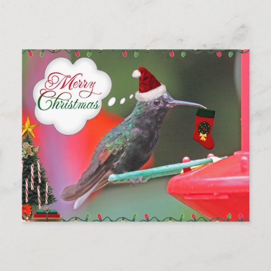 Frohe Weihnachten Hummingbird (Vorderseite)